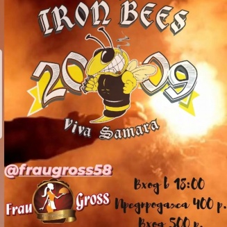 13  THE IRON BEES 