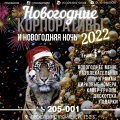 Новогодние корпоративы 2022